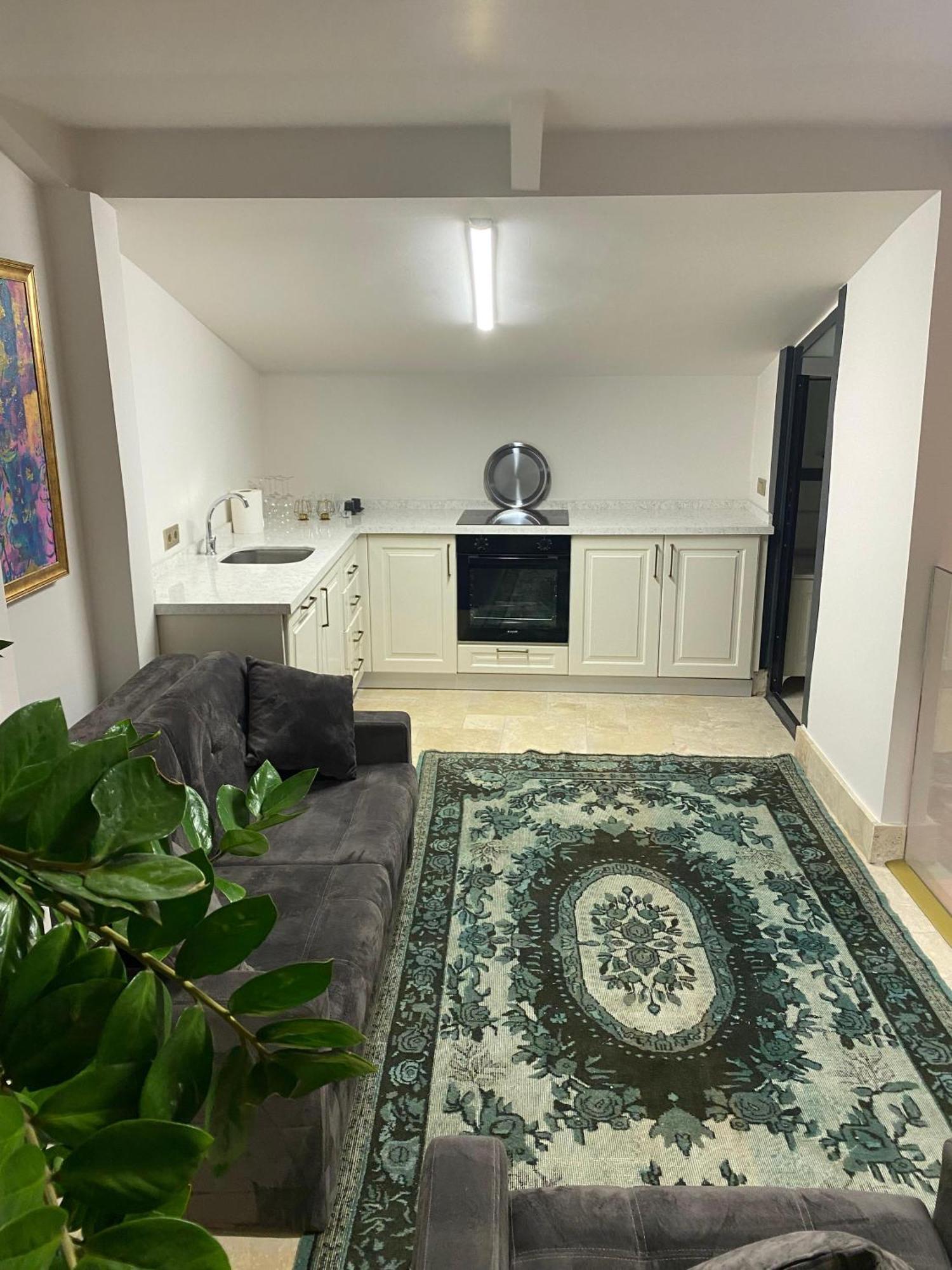 Ab Residences- Private Villa Independent Istanbul Eksteriør bilde